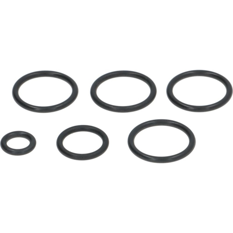 AUTOTROL ORING SET 255440I