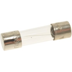 QUICK ACTING FUSE  5X20 MM...