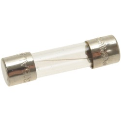 QUICK ACTING FUSE  5X20 MM...