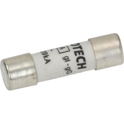 QUICK ACTING FUSE  10X38 MM...