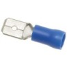 FASTON MASCHIO BLU 63X08 MM 100 PZ