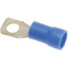 CABLE TERMINAL BLUE LOOP 43 MM 100 PCS