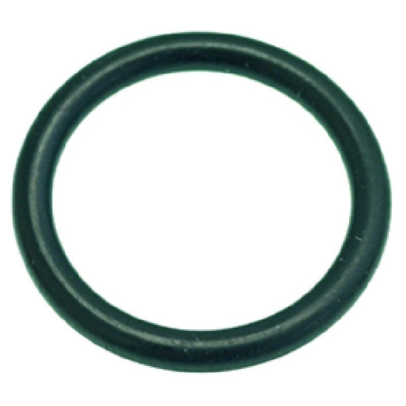 ORING 0123 EPDM