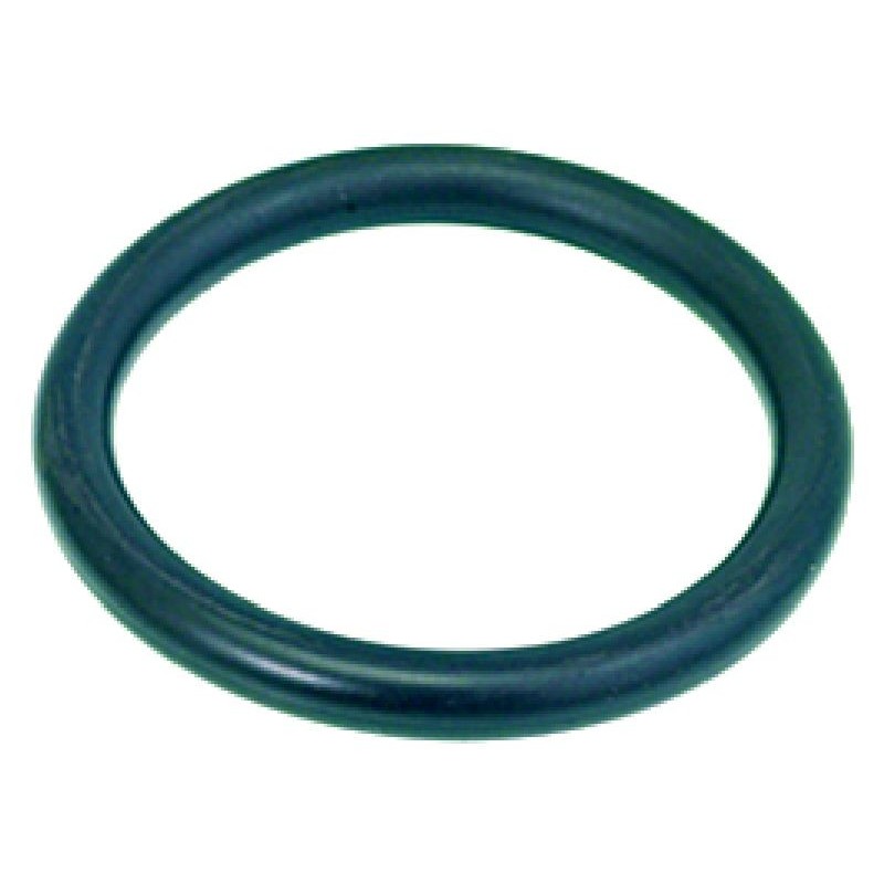 ORING 06175 EPDM