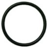 ORING 02081 EPDM