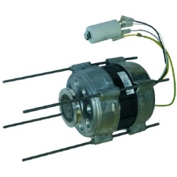 COMPLETE MOTOR 220240V 5060HZ