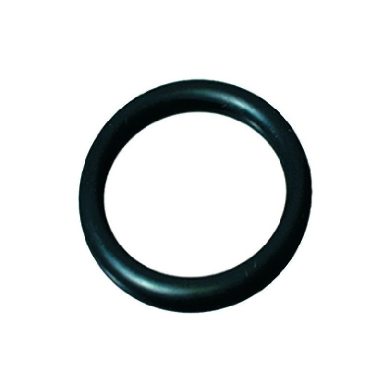 ORING 04067 EPDM