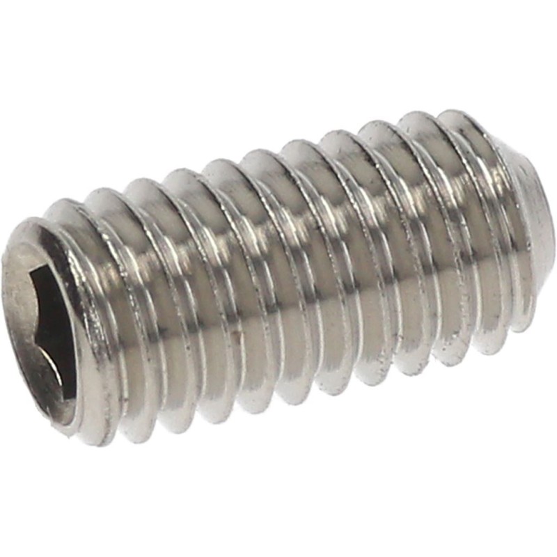 WORM SCREW WITH HEX SOCKET M5X10