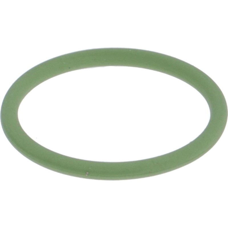 ORM GASKET 016015 FKM