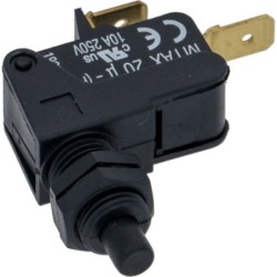 MICROINTERRUTTORE M1AX20 10A 250V