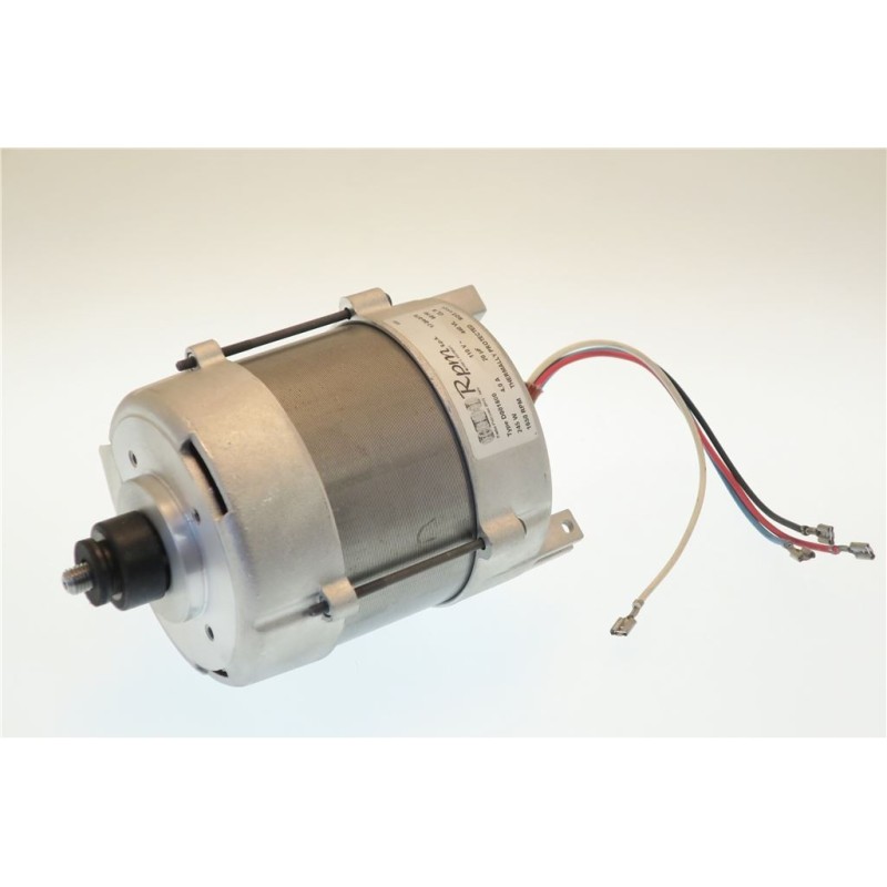 ELECTRIC MOTOR D001800