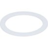 FLAT GASKET PTFE  52X41X2 MM