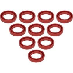 YRING GASKET  10PCS