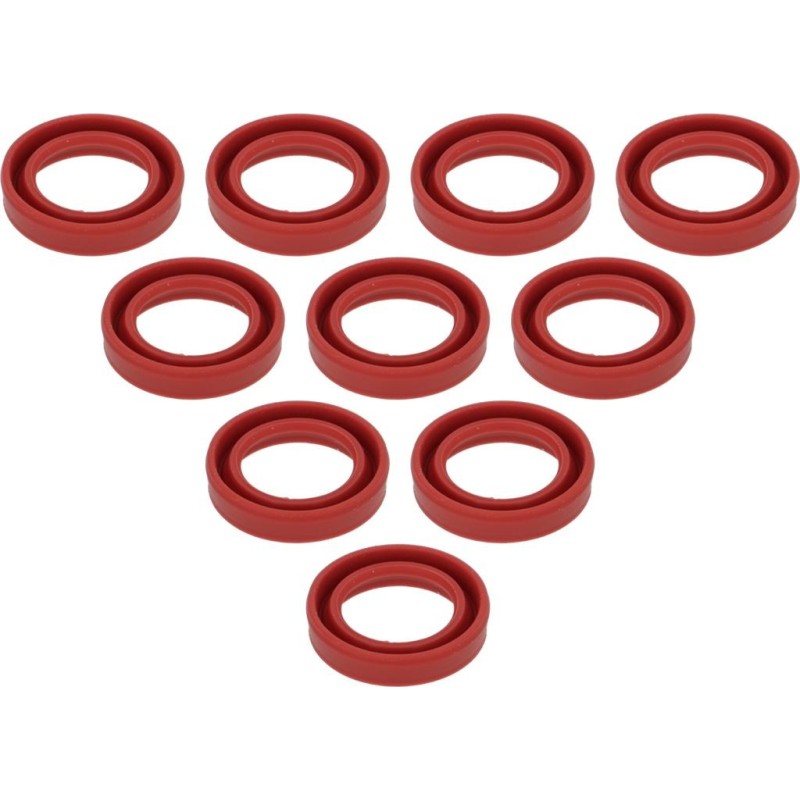 YRING GASKET  10PCS