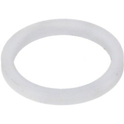 FLAT GASKET PTFE  21X168X2 MM