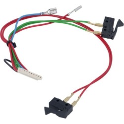 MICROSWITCHES AND WIRING SAECO 42194604