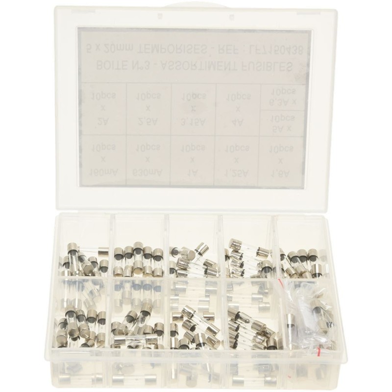 DELAYED FUSE KIT 5X20  110PCS 250V