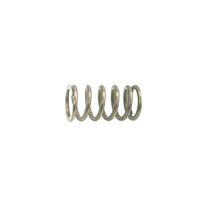 VALVE SPRING