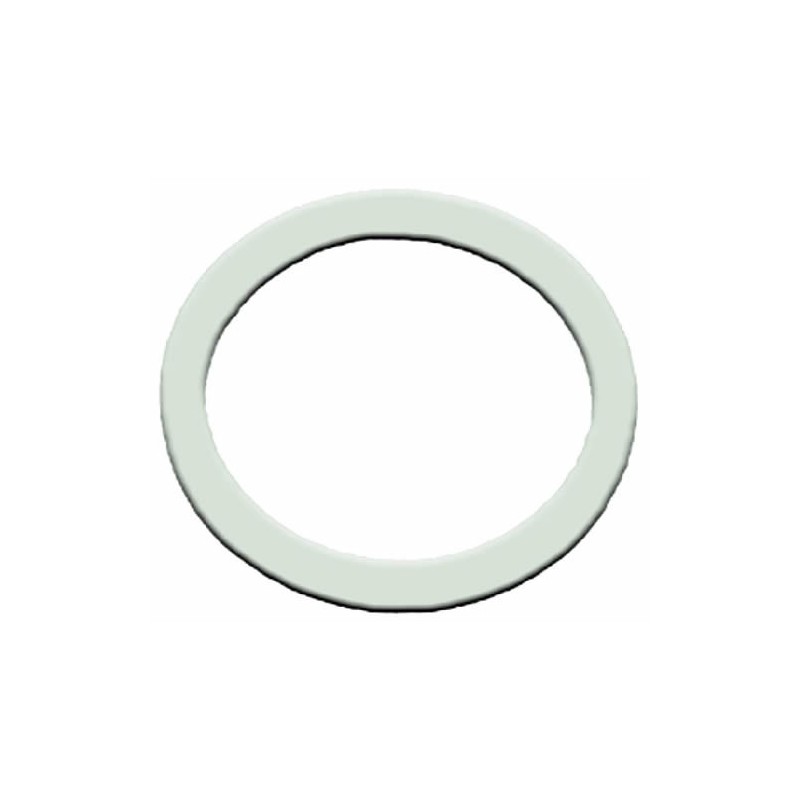 GUARNIZIONE PIANA PTFE  53X43X3 MM