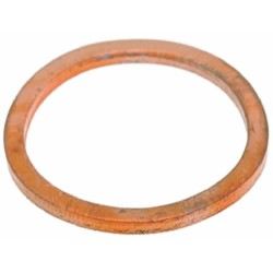 GASKET FOR BREWING GROUP CAP