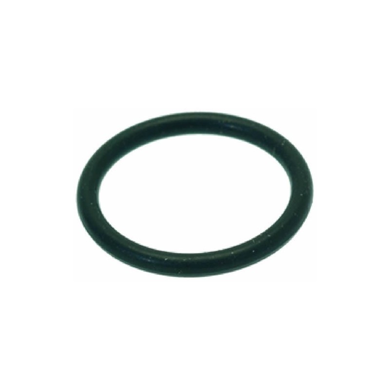 ORM GASKET 0160  20 EPDM