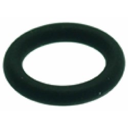 ORM GASKET 007819 FKM