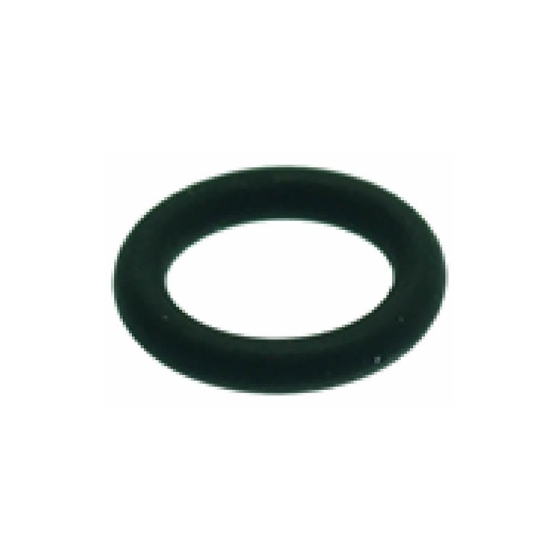 ORM GASKET 007819 FKM