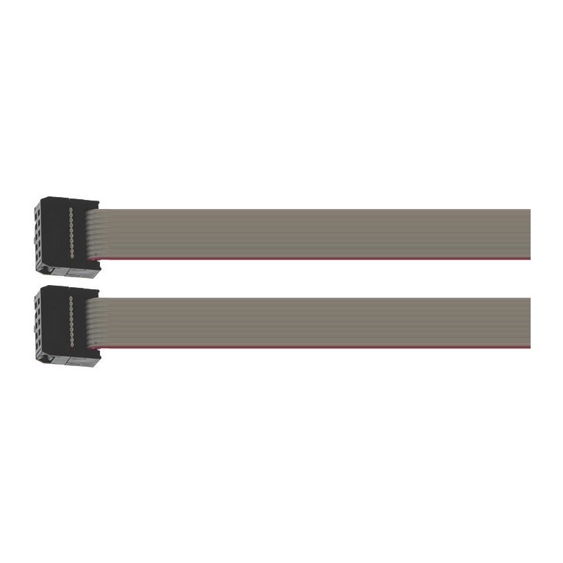 FLAT CABLE 10 POLES 100 MM