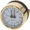 BOILERPUMP PRESSURE GAUGE  60 MM