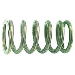 VALVE SPRING  16X30 MM