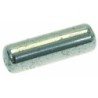 PERNO PER LEVA DOSATORE  5X16 MM