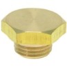 CAP  14M HEIGHT 12 MM NUT 19 MM