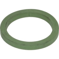 FILTER HOLDER GASKET H8 VITON