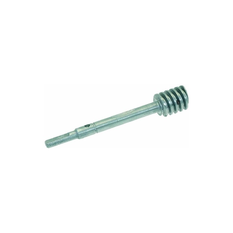 WORM SCREW