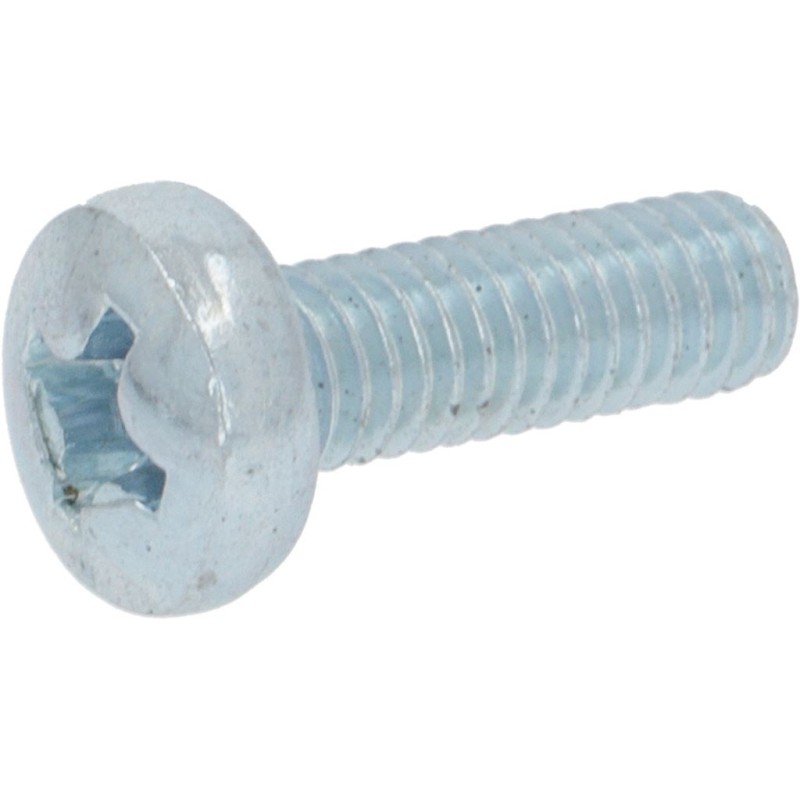 SCREW AQ M4X12 TC TCR GALVANIZED