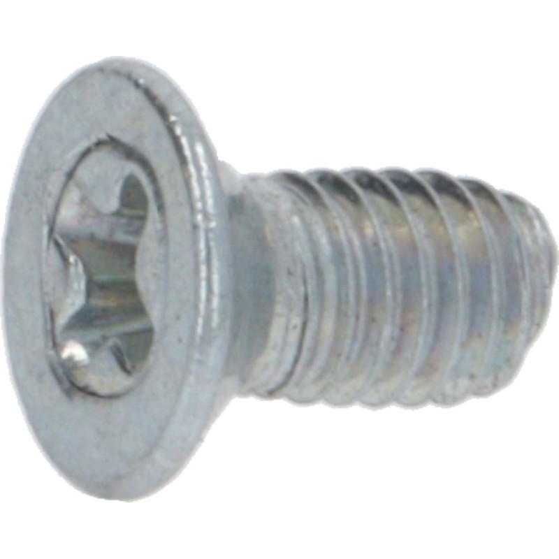 SCREW STSTEEL M3X6