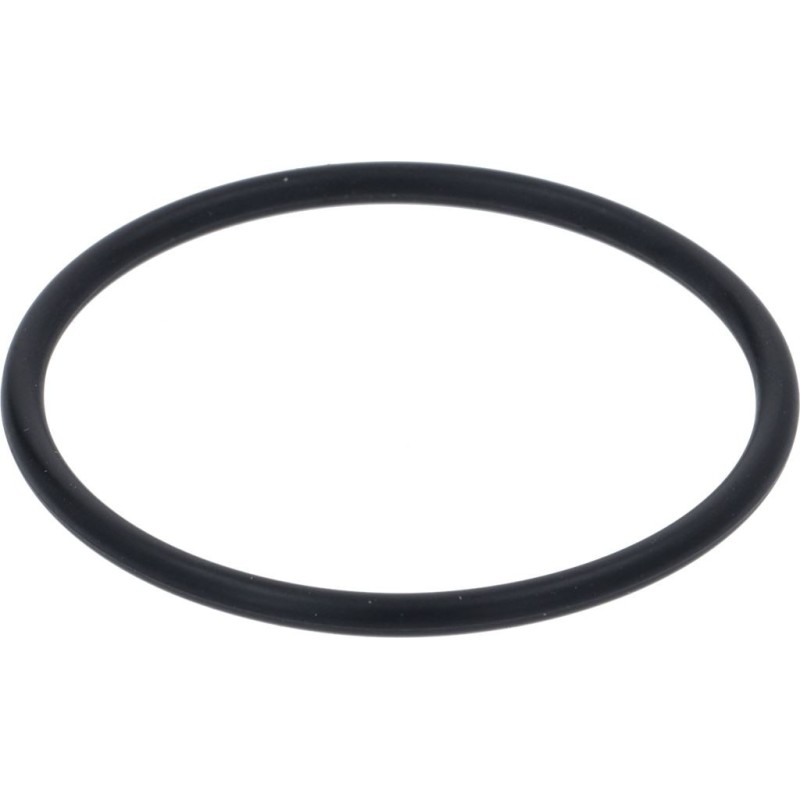 OR GASKET 0161 FKM