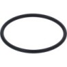 OR GASKET 0161 FKM