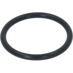 GASKET FOR WATER SOFTENER CAP