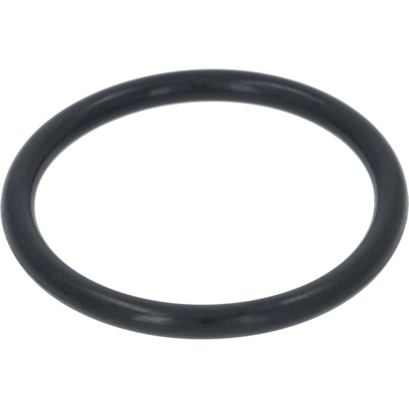 GASKET FOR WATER SOFTENER CAP